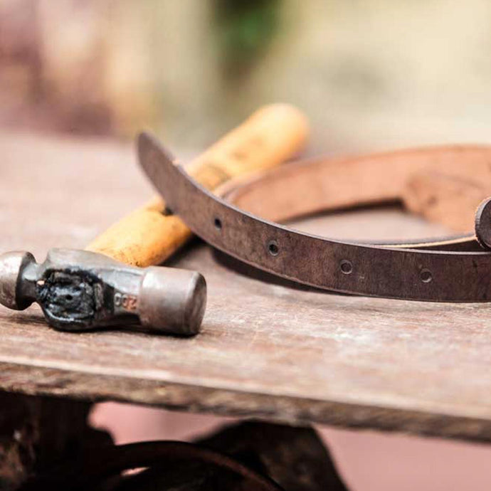 A Freedom Business Begins